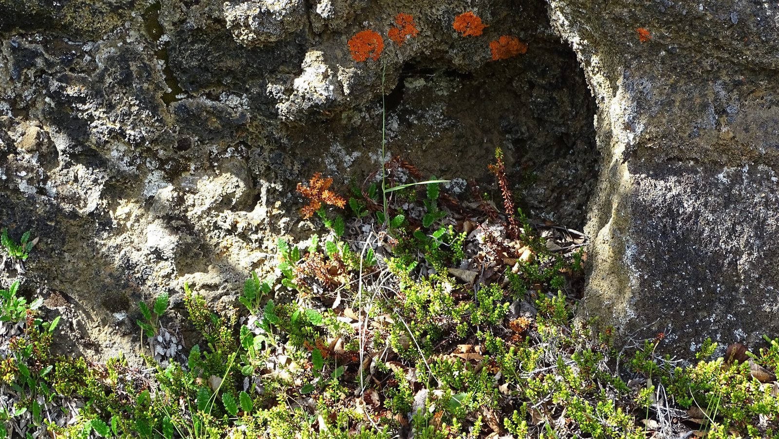 DSC01813.JPG